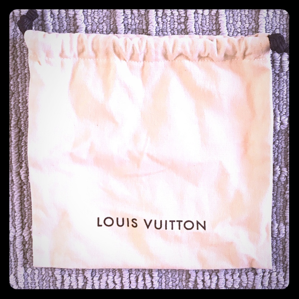 Small Louis Vuitton dust bag